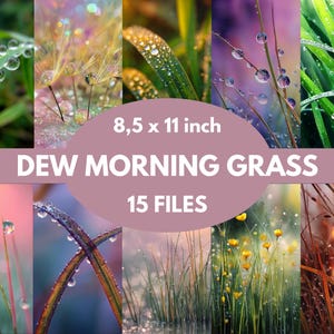 Op de afbeelding: Een verzameling van 15 digitale bestanden met close-upfoto's van grassprieten met waterdruppels. De afbeeldingen tonen verschillende kleuren en richten zich op de details van het gras en het water. De tekst "DEW MORNING GRASS" en "8,5 x 11 inch" zijn zichtbaar.