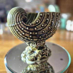 May include: A decorative, olive green ceramic bowl with a seashell design. The bowl features a swirling top and is adorned with small, white star-shaped accents. The base has a textured, rock-like appearance. The bowl is displayed on a mirrored surface.