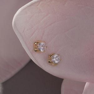 May include: Two small, gold-colored stud earrings with clear, round gemstones. The earrings are set against a soft pink flower petal, with other petals in the background. The background is a light gray color.