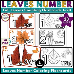 May include: Educational flashcards for fall-themed number learning. The cards feature colorful and black-and-white leaf illustrations with numbers and corresponding word representations. The set includes flashcards for numbers 1-20, with the text "Leaves Number Coloring Flashcards".