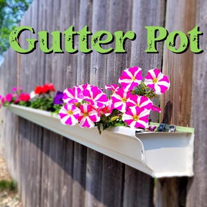 May include: A white gutter planter filled with vibrant pink and white petunias and other colorful flowers, mounted on a weathered wooden fence. The text "Gutter Pot" is displayed above the planter.