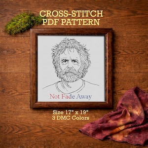May include: A framed cross-stitch PDF pattern featuring a black and white portrait with the text "Not Fade Away." The frame is on a wooden surface, with the text "Size 17" x 19"" and "3 DMC Colors" below the portrait.
