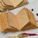 May include: Two open journals with thick, textured, tan-colored pages that have uneven, deckled edges. The paper appears aged with a mottled, brownish finish. A red feather quill with gold-toned mechanical gear accents lies in the foreground.