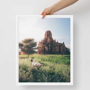 Ancient Temple and Grazing Goat Framed Canvas Historical Architecture Photography, Temple Landscape Wall Art, Rural Nature Canvas Print