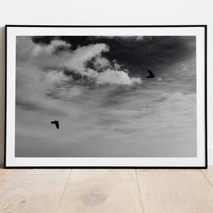 Black and White Photograph of Flying Birds Printable Extra Large Wall Art, Digital Download birds and Nature, Wall Decor, Photography Print