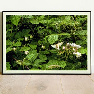 White and Green Foliage Photograph Printable Botanical Large Wall Art, Instant Digital Download Floral Wall Decor, Flower Photography Print.