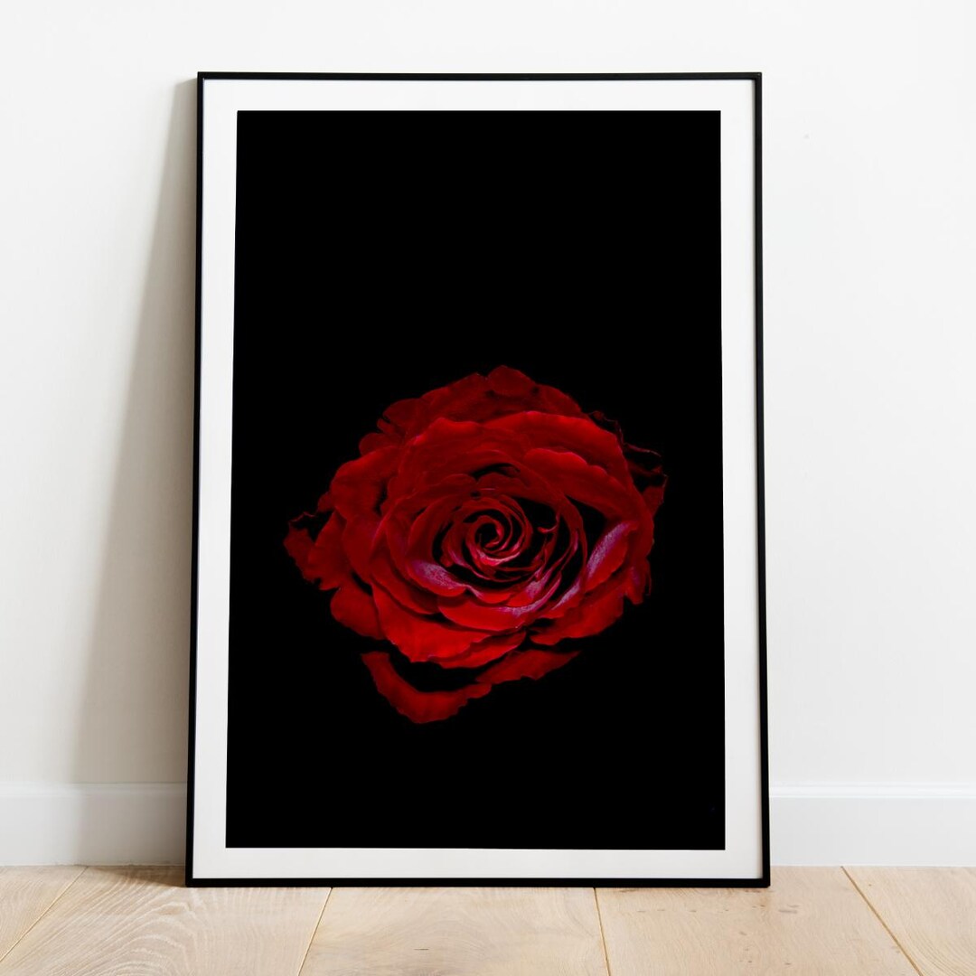 Dark Romantic Red Rose Photo Art: Moody Floral Wall Decor (digital ...