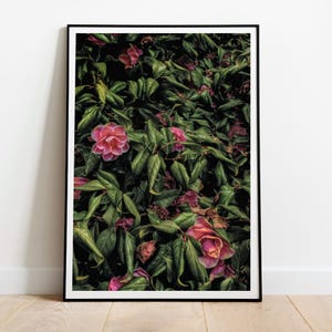 Green and Pink Photograph Printable Botanical Extra Large Wall Art, Digital Download Floral Wall Decor, Flower Photography Print