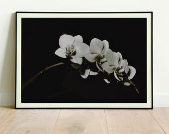 モノクロの蘭の写真プリント：ミニマリストの植物壁アート（デジタルダウンロード）