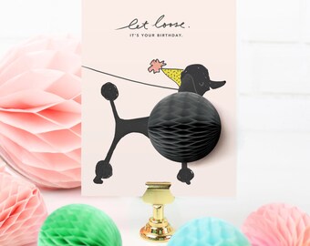 Pop-Up Poodle Birthday Card // dog birthday card, happy birthday, kid birthday card, let loose, girl birthday card