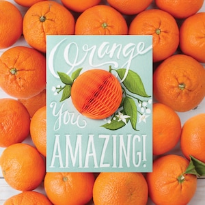Cartão de felicitações pop-up // Orange You Amazing // cartão de agradecimento, incentivo, só porque, cartão de aniversário, escrito à mão, cartão gastronômico,