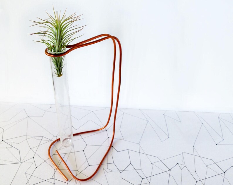 May include: A copper wire stand with a glass test tube holding a small air plant. The stand is on a white background with a geometric pattern.
