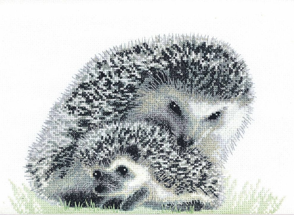 Еж схема. Ежики Чаривна Мить. Вышивка Ежик. Вышивка крестом Ежик. Вышивка крестом Ежи.