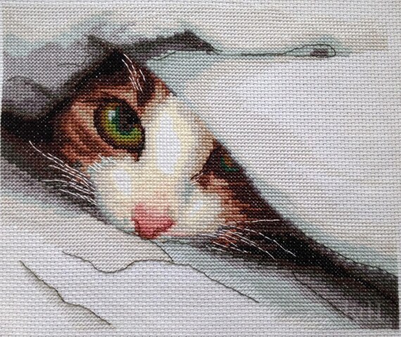 NEW UNOPENED Counted Cross Stitch Kit Charivna Mit Cat/'s look # M-267