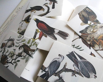 Audubon Bird Art Envelopes: Vintage Ephemera Snail Mail Set of 5