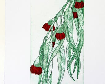 Eucalyptus - Original Etching