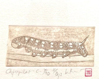 Caterpillar - Original Etching