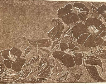 Clematis - Original Etching