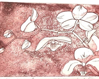 Orchideen - Original- Radierung