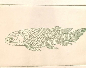Pesce rettile - Acquaforte originale