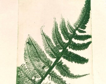 Fern - Original Etching