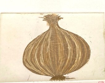 Onion - Original Etching