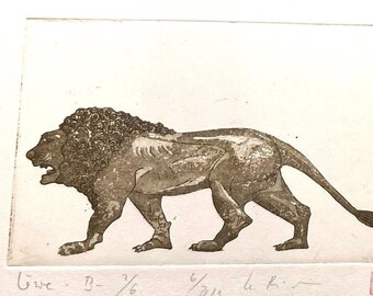 Lion - Original Etching