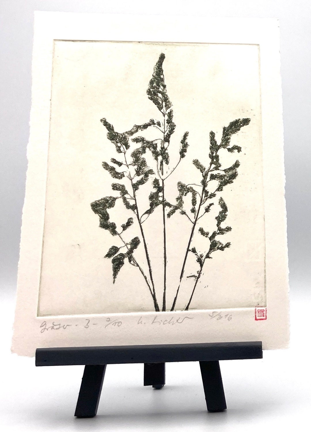 Grass Original Etching Etsy