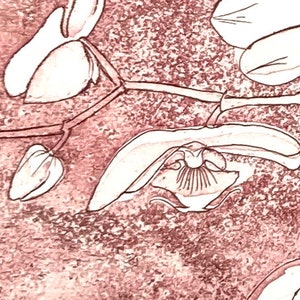 Orchids Original Etching image 2