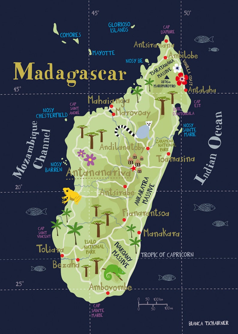 Illustrated Map of Madagascar Limited Edition Print A3 / ca. | Etsy