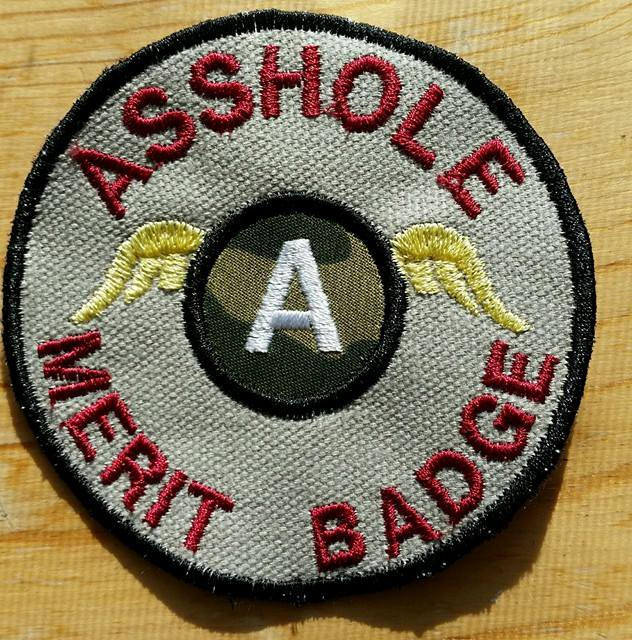 Adulting Merit Badge Embroidered Iron-On Patches (Funny - Set 2)