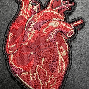 Heart patch