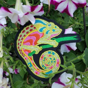 Chameleon patch