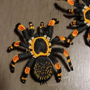 Lace spider