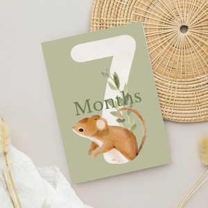Cartes d'étape imprimables pour bébé | 1-12 mois | Créatures des bois esthétiques neutres | 5 x 7 po. | Téléchargement instantané