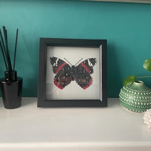 Könnte beinhalten: Gerahmtes Kunstwerk mit einem Schmetterlingsdesign aus Knöpfen. Der Schmetterling hat schwarze Flügel mit roten und weißen Details. Das Stück wird auf einer weißen Oberfläche vor einer türkisfarbenen Wand mit einem schwarzen Diffusor und anderen Ornamenten ausgestellt.