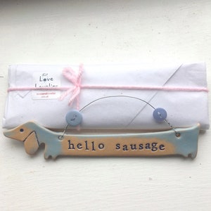 Op de afbeelding: Een hangend bord van keramiek in de vorm van een teckel met de tekst "hello sausage" in blauwe letters op een lichtblauwe en bruine achtergrond. Het bord hangt aan twee blauwe knopen.