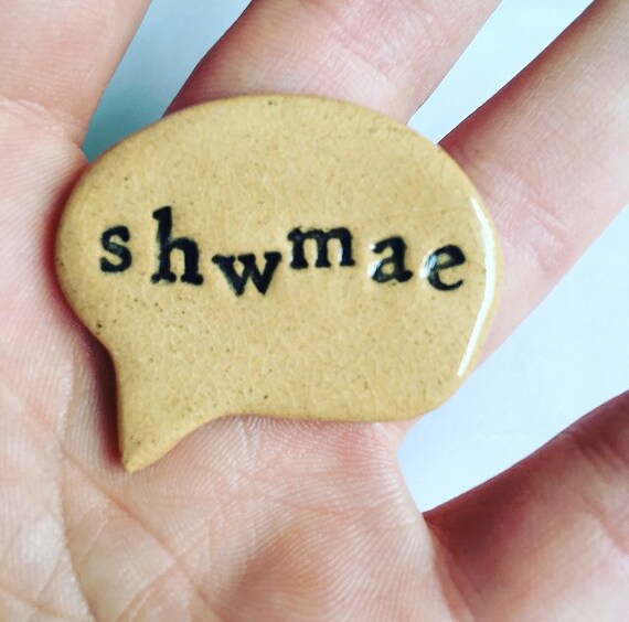 Shwmae brooch