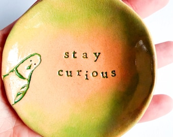 Stay Curious - Dish