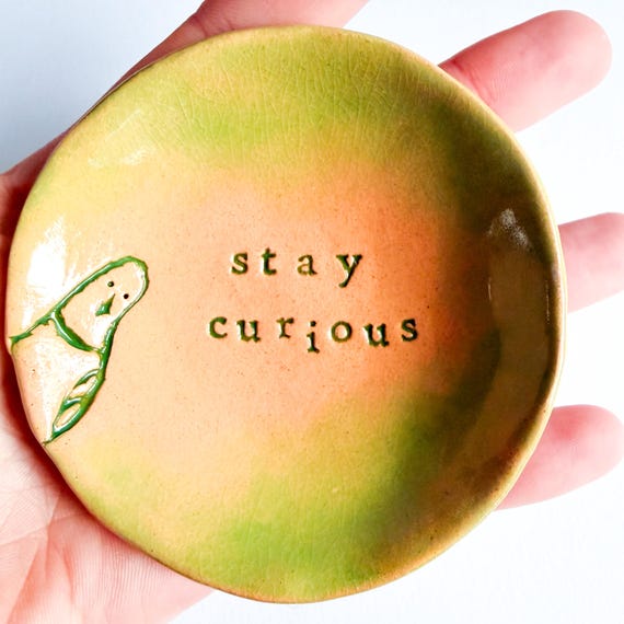 Stay Curious - Dish