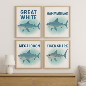 Watercolor Shark Wall Art Set for Kids Room – Great White, Hammerhead, Megalodon, Tiger Shark Prints – Ocean Nursery Decor