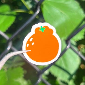 Cute orange sticker, Handmade laminated vinyl decal for Laptop journal water bottle