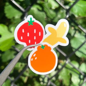 Cute tiny fruit sticker set, Handmade laminated vinyl decal for Laptop journal water bottle