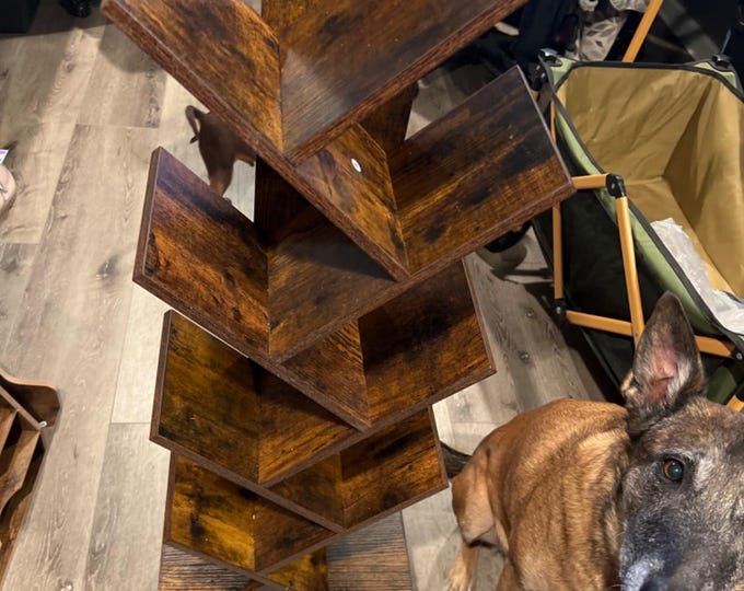 9 Tier Tree Book Shelf - Floor Standing Bookshelves - Storage Organizer - Bookshelf with Drawer - Living Room Bookcase