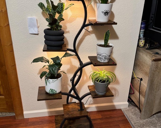 8-Tier Indoor Plant Stand with Grow Light | Tall Corner Shelf for Indoor Gardening