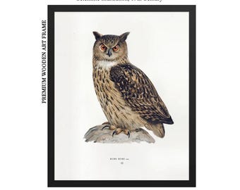 Wood Frame, Eagle Owl Wall Art, Vintage Woodland Bird Illustration, Restored Cottagecore Nature Print, Bubo Bubo Poster, Natural History