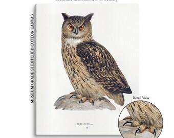 Canvas, Eagle Owl Familiar Print, Mystical Bird Illustration for Tarot Readers & Witchy Rooms, Bubo Bubo Occult Decor – Vintage Style Decor