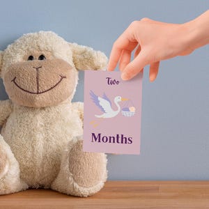 Cartes d'étape mensuelles pour bébé / 1-12 mois / Graphismes mignons et amusants / Ensemble d'accessoires photo bébé