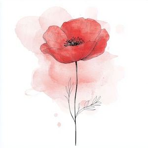 May include: A red poppy flower illustration with a black stem and leaves. The flower has detailed petals and a dark center. A soft, watercolor-style pink background complements the floral design, set against a white backdrop.