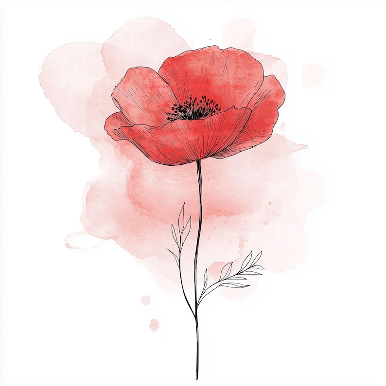 May include: A red poppy flower illustration with a black stem and leaves. The flower has detailed petals and a dark center. A soft, watercolor-style pink background complements the floral design, set against a white backdrop.